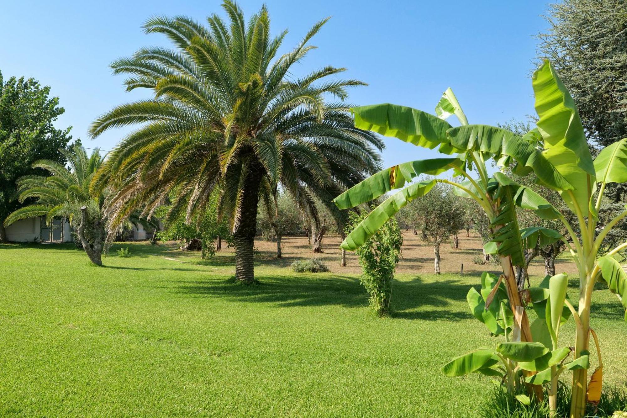 Tenuta Ricco With Pool And Garden Cursi Εξωτερικό φωτογραφία