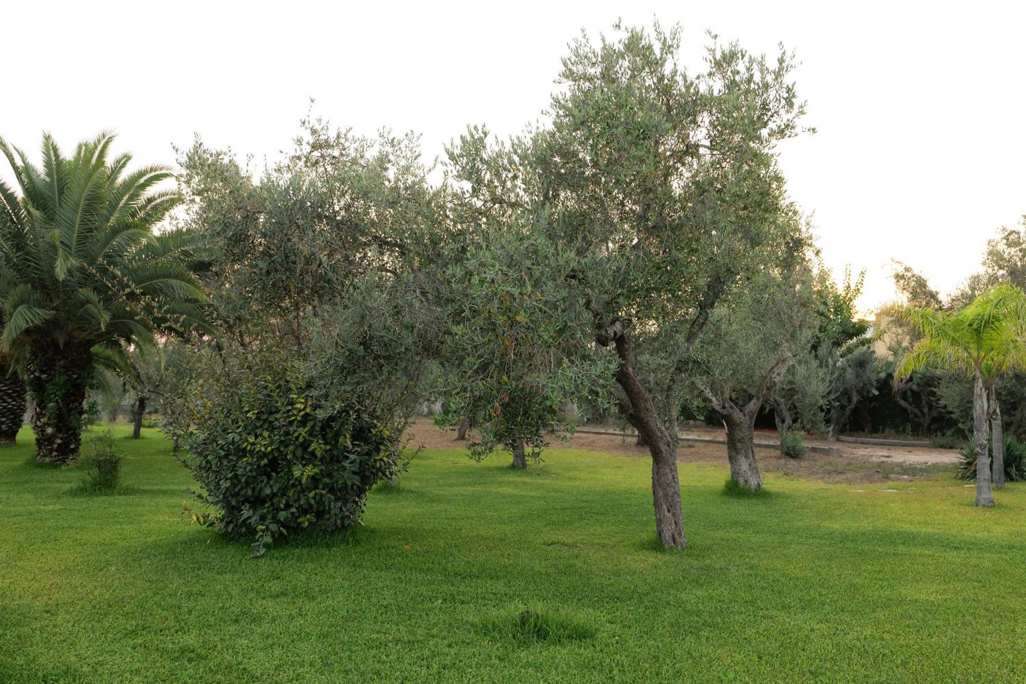 Tenuta Ricco With Pool And Garden Cursi Εξωτερικό φωτογραφία